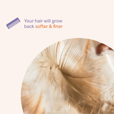 Softer Regrowth